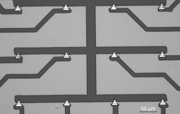 Optical micrograph of an array of 2D TMDC-based transistors
