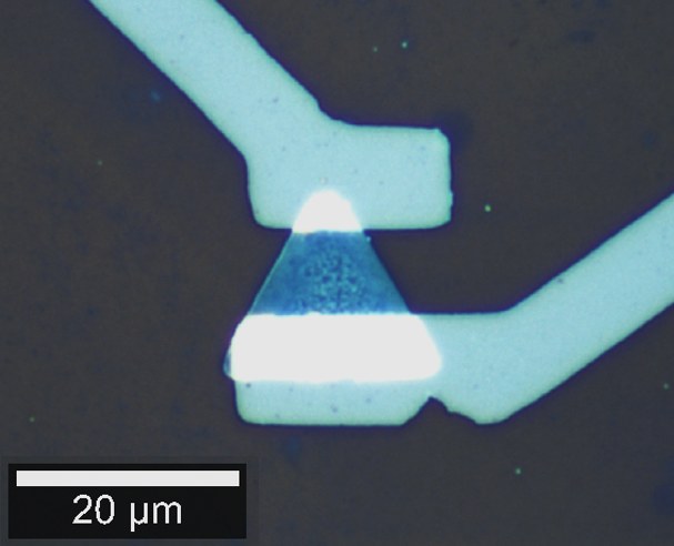 Optical micrograph close-up of a 2D TMDC-based transistor