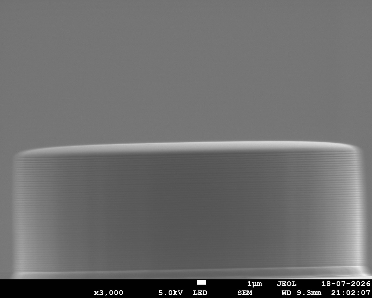 SEM image of a silicon DRIE-etched pillar