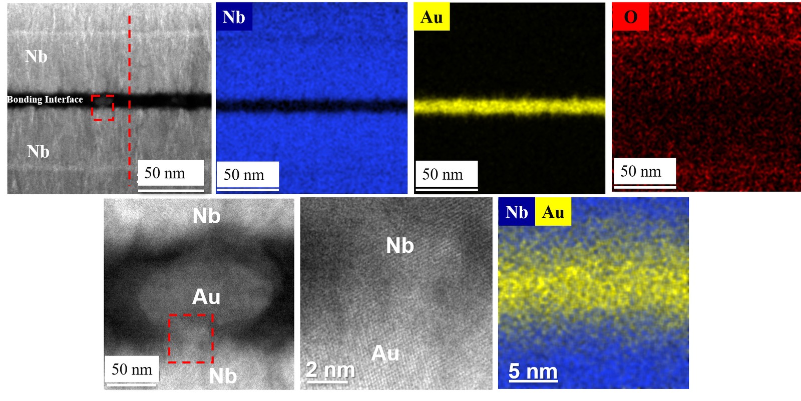 Cross-sectional TEM and EDS elemental mapping of a thermo-compression bonded Nb-Nb interface